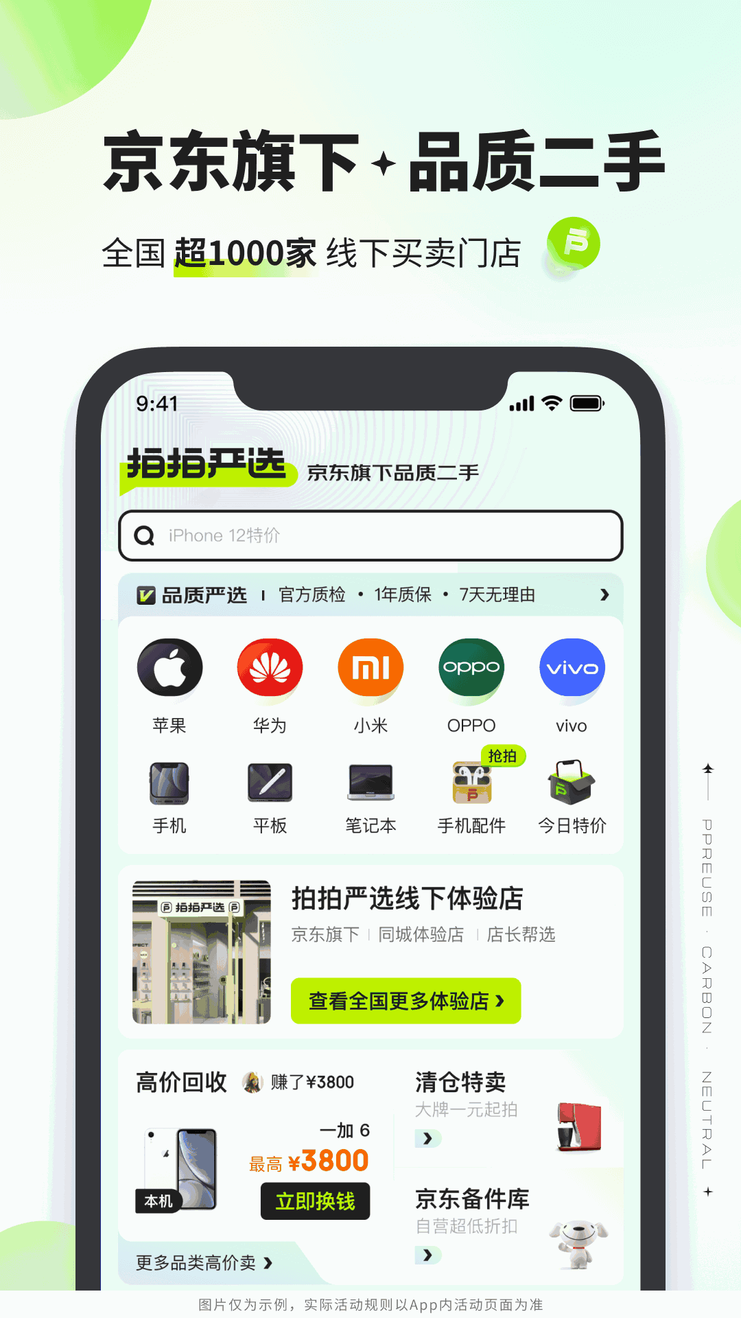 拍拍