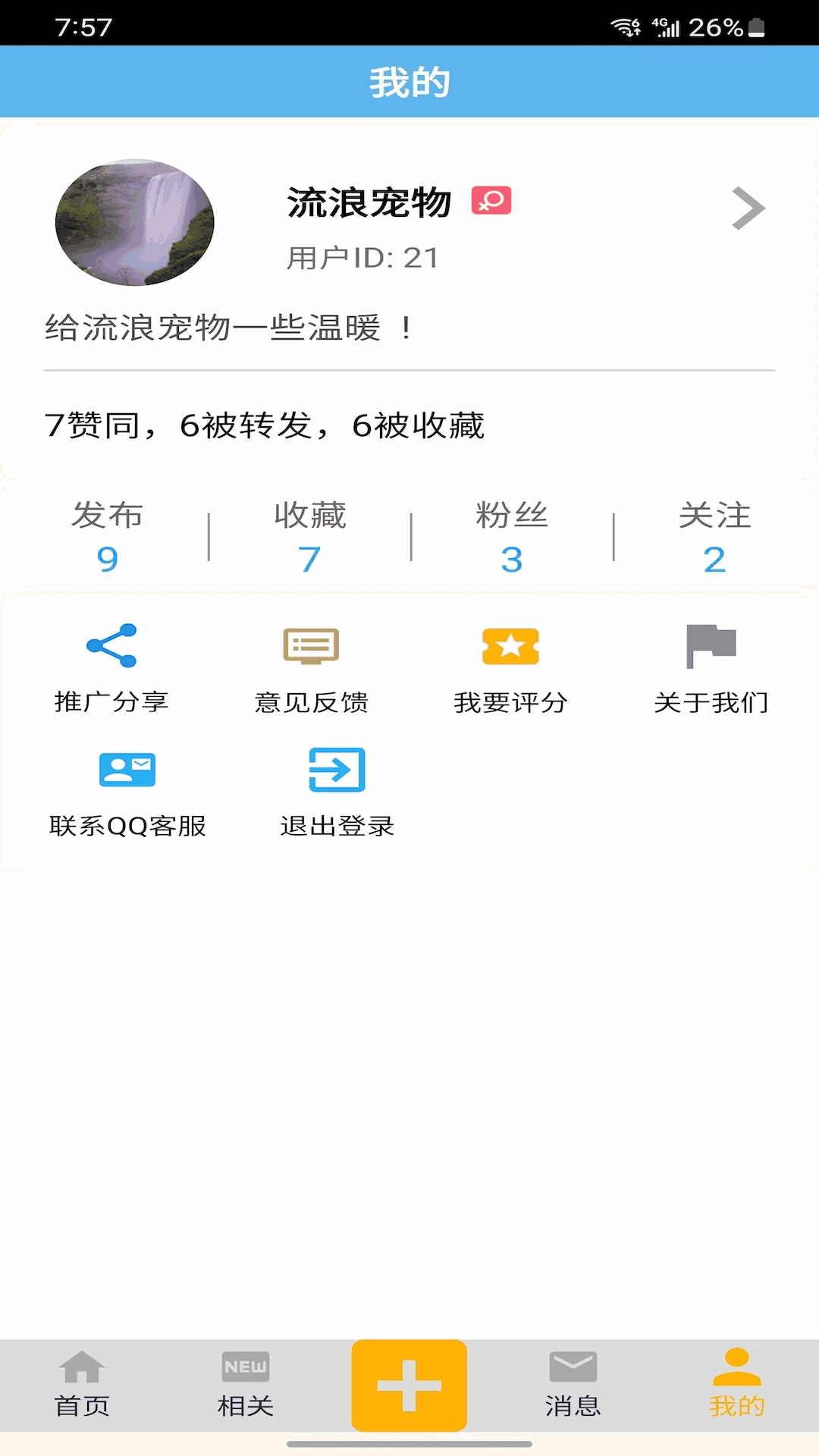流浪宠物